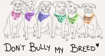 Don’t bully my breed mugs 11 oz
