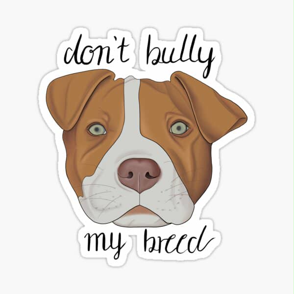 Don’t bully my breed mugs 11 oz